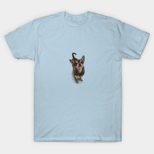 The Chihuahua T-Shirt