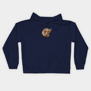 The Sleeping Chihuahua Kids Hoodie