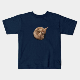 The Sleeping Chihuahua Kids T-Shirt