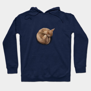 The Sleeping Chihuahua Hoodie