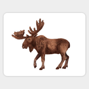 Moose! Sticker