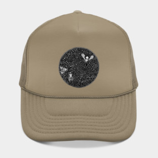 Bees Hat