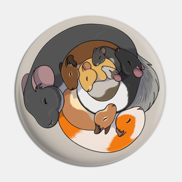 Pet Rodents Pin by DeguArts