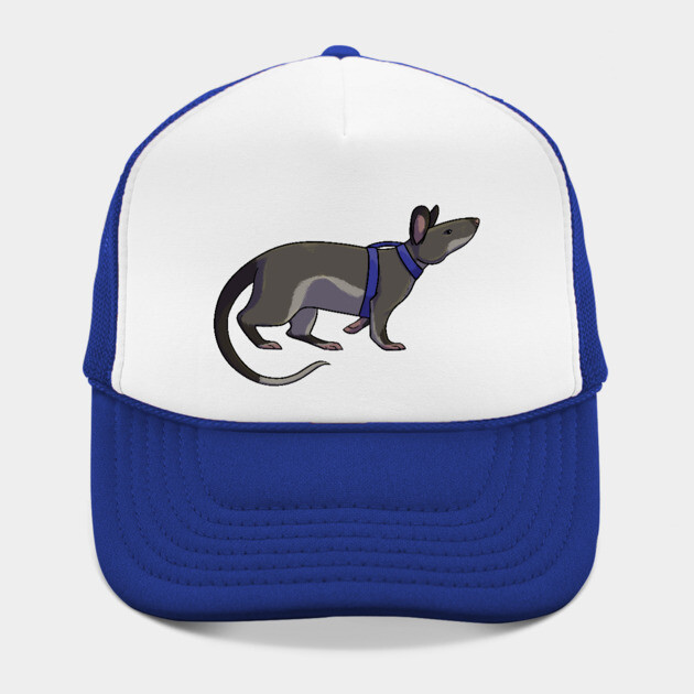 Hero Rat by DeguArts