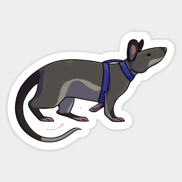 Hero Rat Magnet by DeguArts