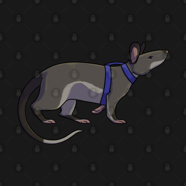 Hero Rat by DeguArts