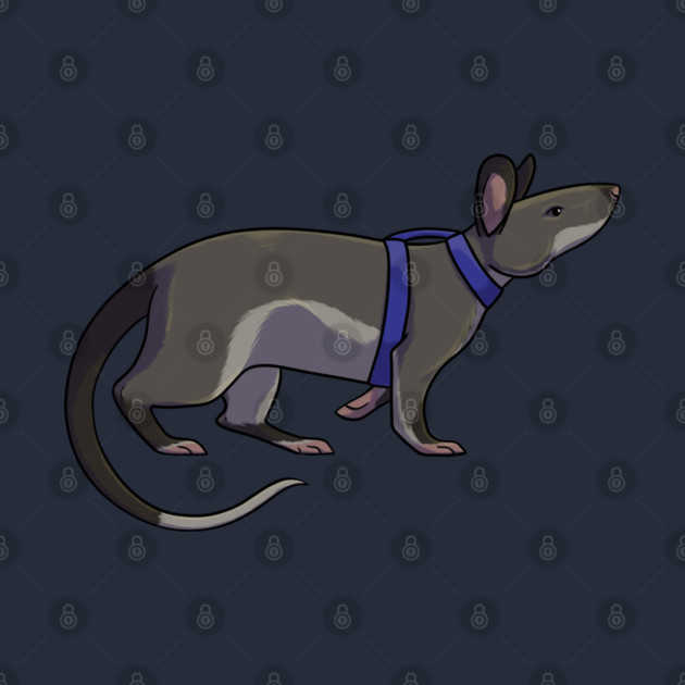 Hero Rat by DeguArts