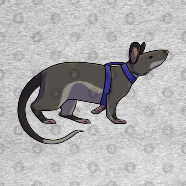 Hero Rat by DeguArts