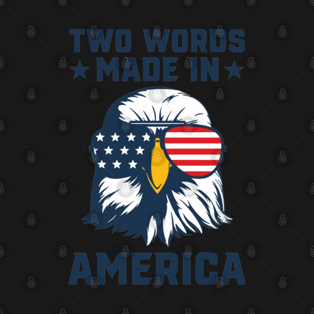 Joe Biden Says Two Words Made In America USA American Flag Patriotic Eagle Funny Biden 2 Words Quote by Tshirtiz