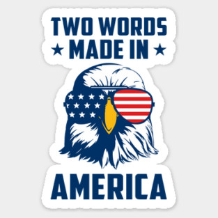 Joe Biden Says Two Words Made In America USA American Flag Funny Biden 2 Words Quote Magnet