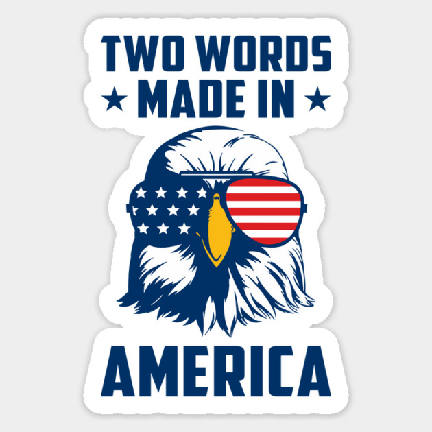 Joe Biden Says Two Words Made In America USA American Flag Funny Biden 2 Words Quote Magnet by Tshirtiz