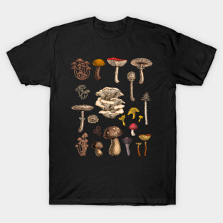 Wild mushrooms T-Shirt