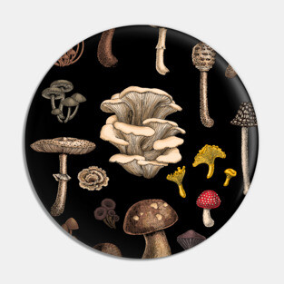 Wild mushrooms Pin