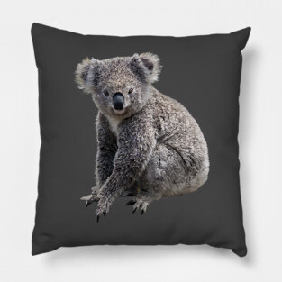 Koala Pillow