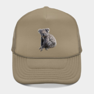 Koala Hat