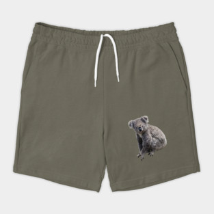 Koala Shorts