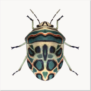 Picasso Bug Posters and Art