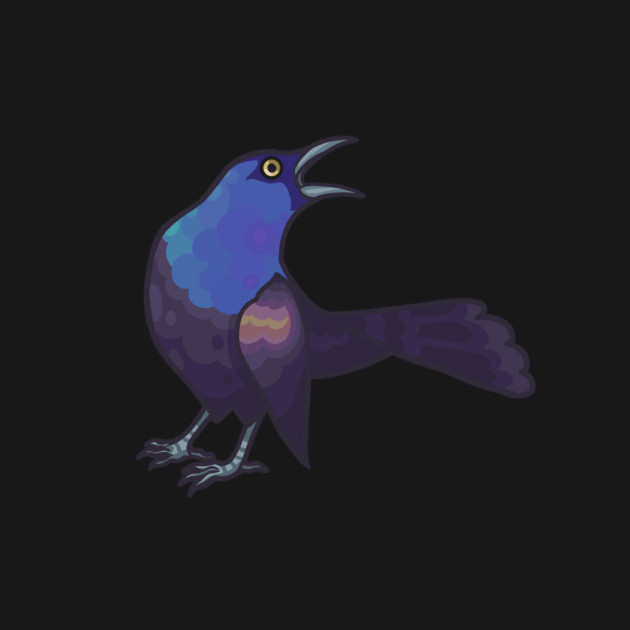 Common Grackle Bird T-Shirt TeePublic
