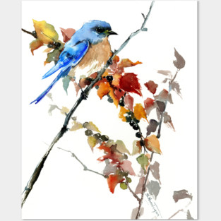 Eastern Bluebird Posters and Art