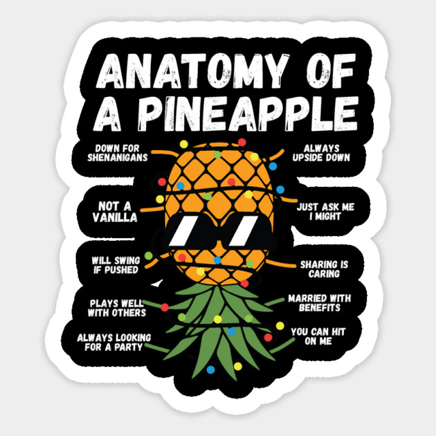 Anatomy Of A Pineapple Magnet by teewyld