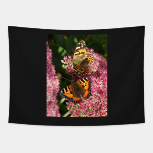 Painted lady and the Tortoiseshell Tapestry