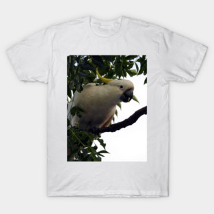 Sulphur Crested Cockatoo T-Shirt