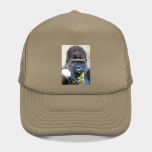Gorilla Hat