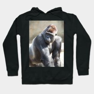 Gorilla Hoodie