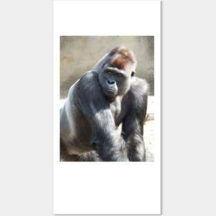 Gorilla Posters and Art