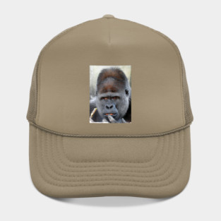 Gorilla Hat