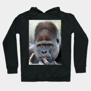 Gorilla Hoodie