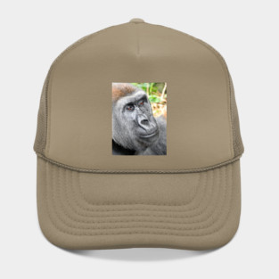 Gorilla Hat