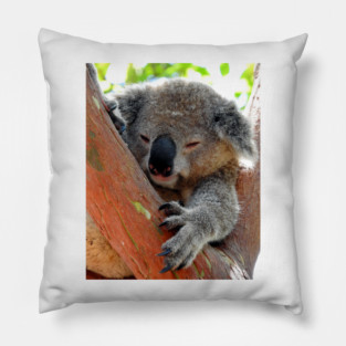 Koala Pillow