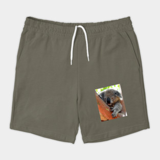 Koala Shorts