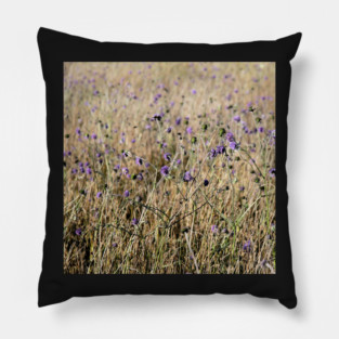 The Color Purple Pillow