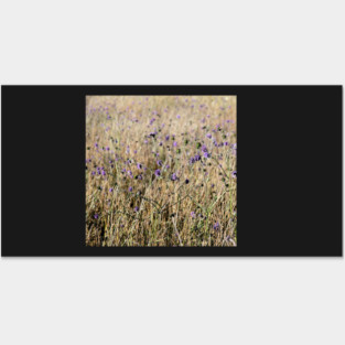 The Color Purple Posters and Art