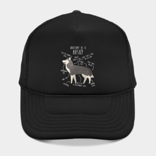 Grey Siberian Husky Dog Anatomy Hat