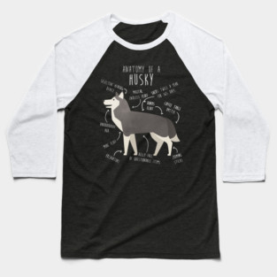 Grey Siberian Husky Dog Anatomy Baseball T-Shirt