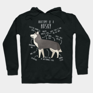 Grey Siberian Husky Dog Anatomy Hoodie