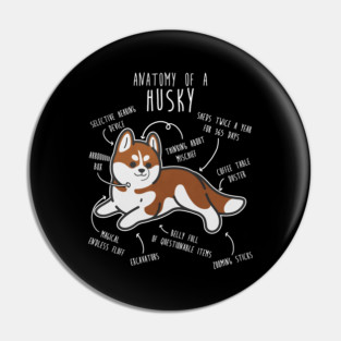 Red Siberian Husky Dog Anatomy Pin
