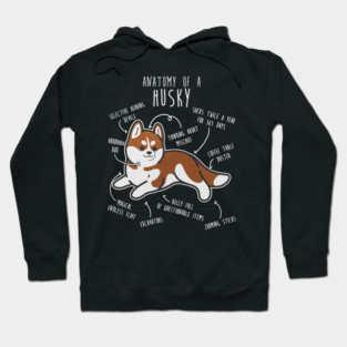 Red Siberian Husky Dog Anatomy Hoodie