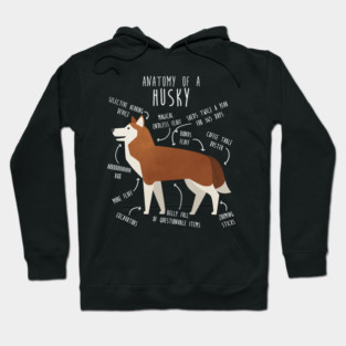 Red Siberian Husky Dog Anatomy Hoodie