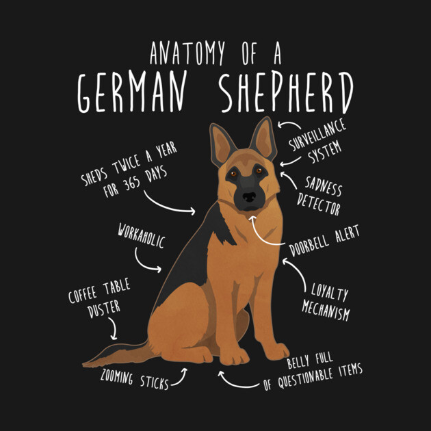 German Shepherd Dog Anatomy by Psitta