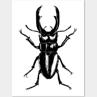 Beetle Posters and Art