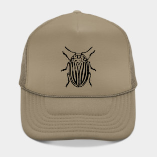 Beetle Hat