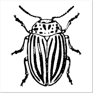 Beetle Posters and Art