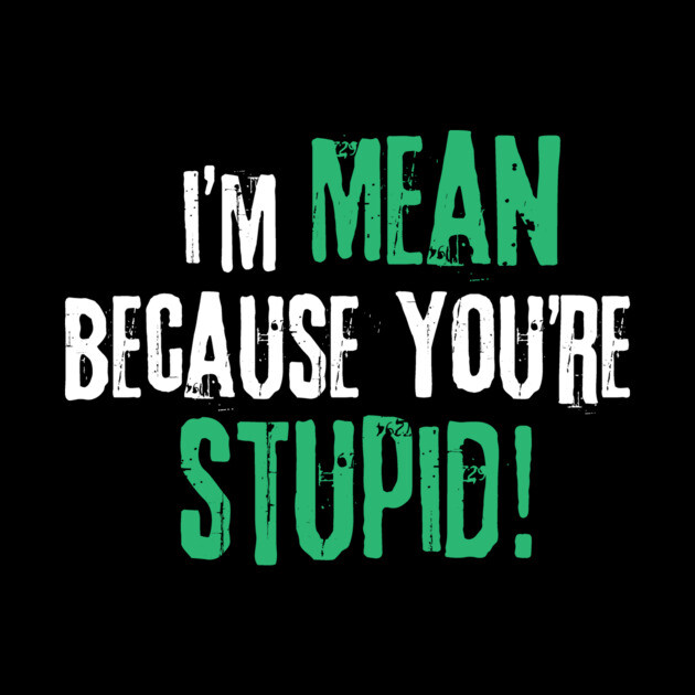 I'm Mean Because You Are Stupid by The WYLD Tribe