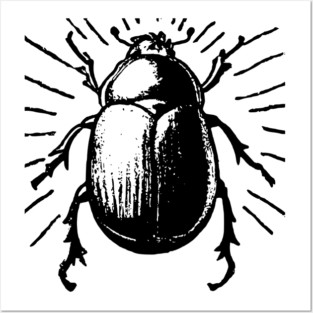 beetle Posters and Art