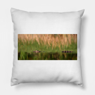 Alligator Pillow