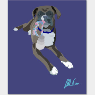 Saffy the Boxer Posters and Art
